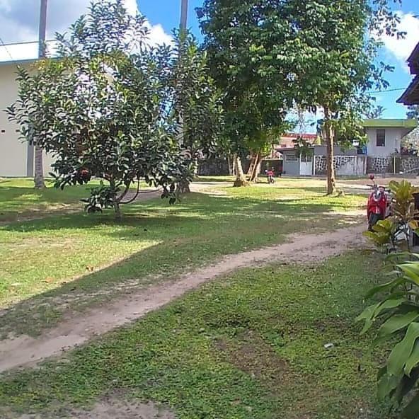 Mimi Guest House Syariah Pangkalanbuun Exteriér fotografie